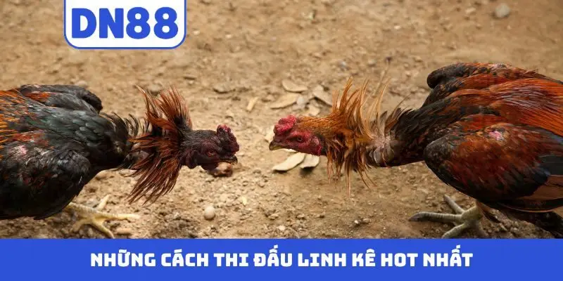 Những cách thi đấu linh kê hot nhất