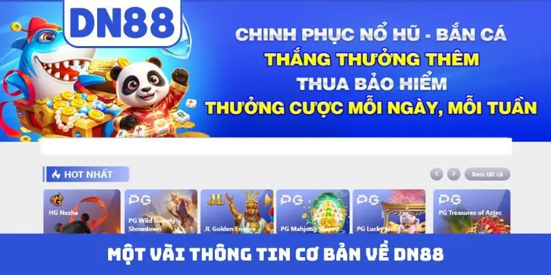 Một vài thông tin cơ bản về DN88
